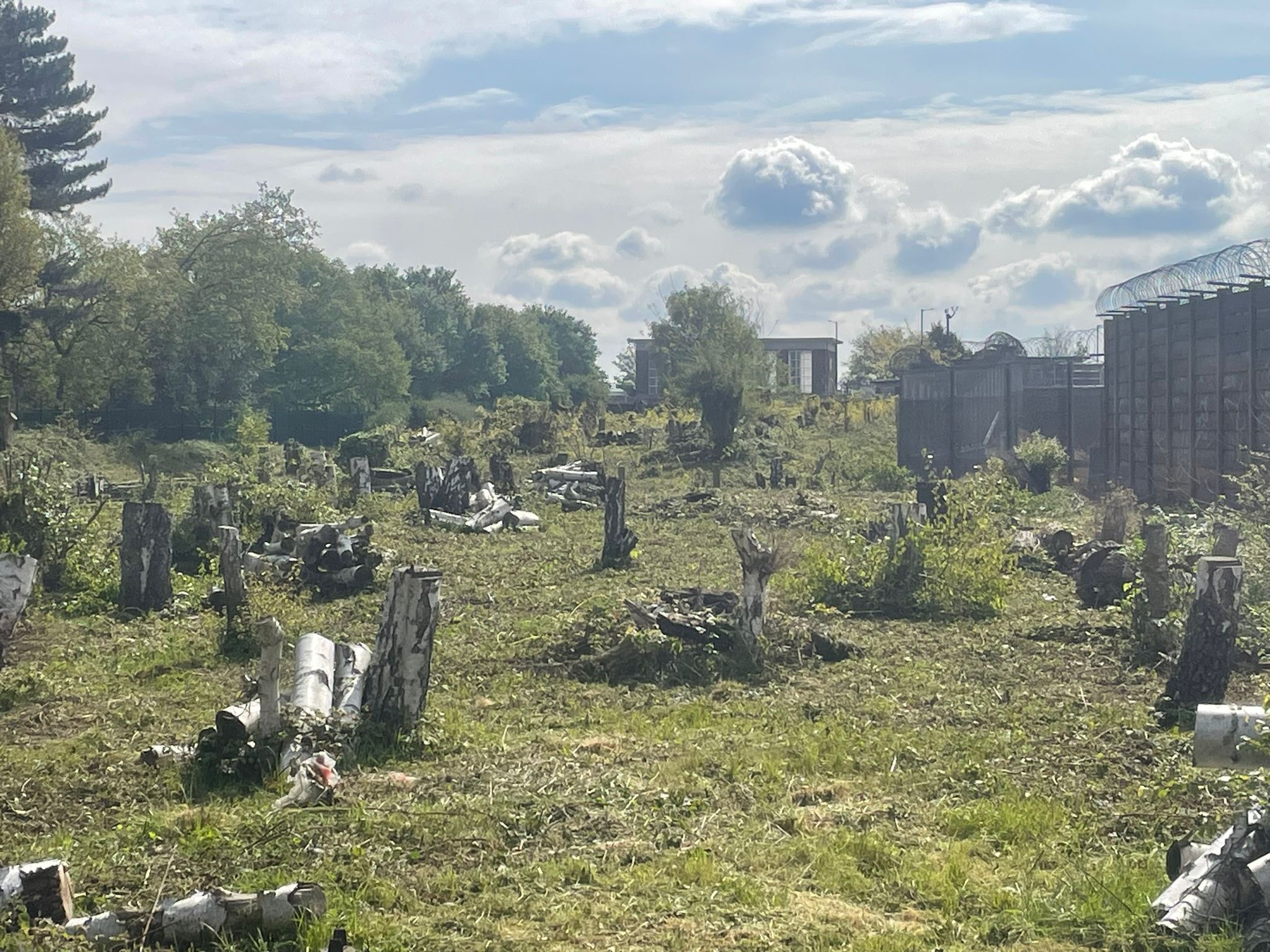 Cockfosters Rd27 Stump Removal, London